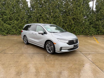 2023 Honda Odyssey Elite