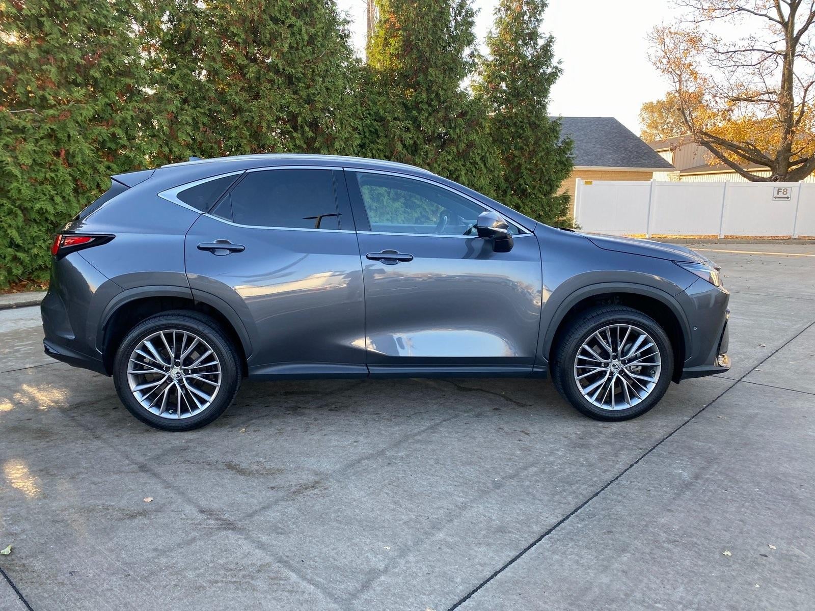 2022 Lexus NX 350h Luxury