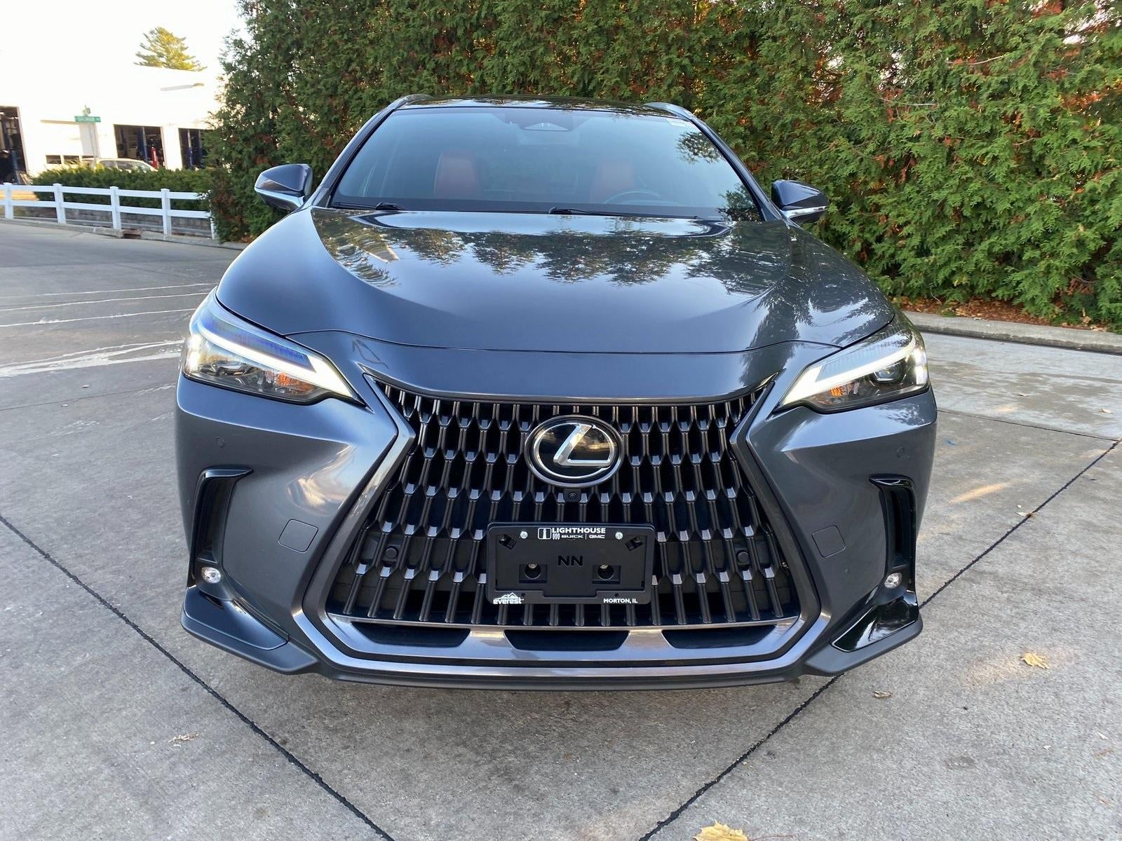2022 Lexus NX 350h Luxury